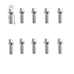 10 bulloni ch.17 14x1.5 l.40mm - BR/9-10