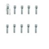 10 bulloni ch.17 14x1.25 l.45mm - BR/16-10