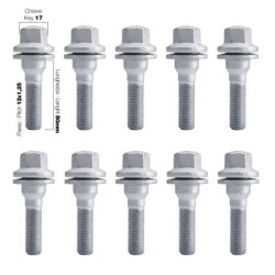10 bulloni ch.17 12x1.25 l50 mm testa piatta - BR/16P-10