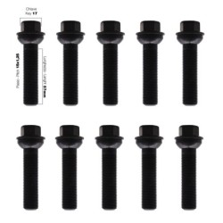 10 bulloni ch.17 15X1.25 l.57mm sferici rondella mobile - BR/32N-10