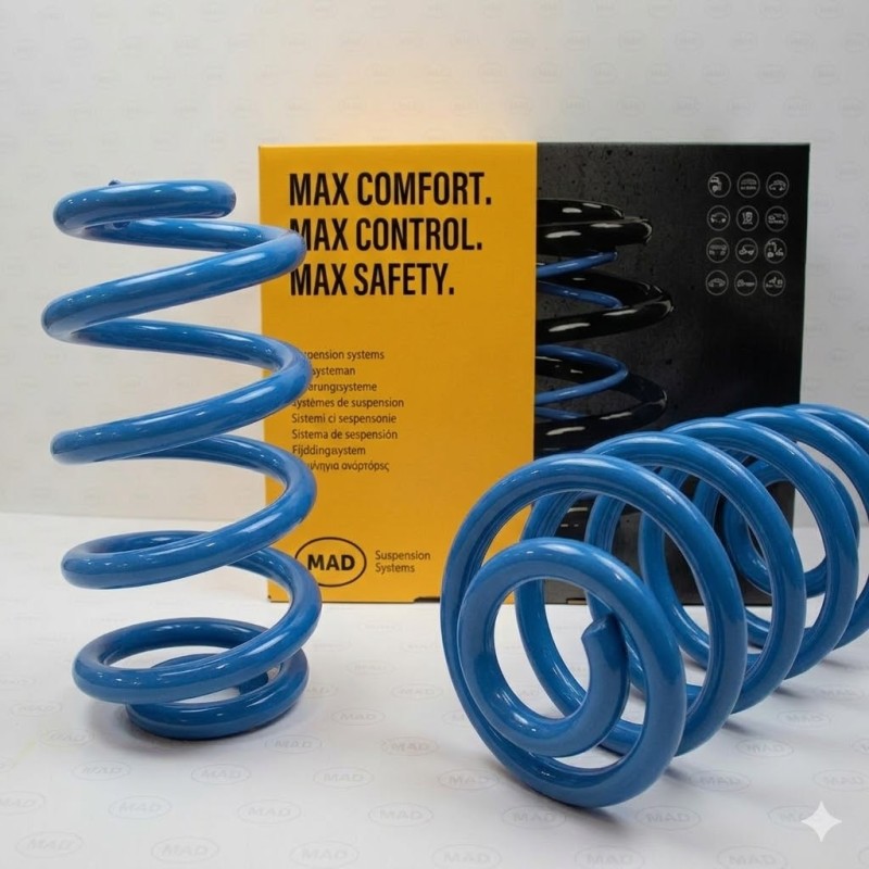 Molle Rinforzate Posteriori Dacia Dokker van DAL 2012 - Renault EXPRESS RAPID