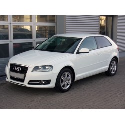 Scarico sportivo marmitta Audi A3 8P Sportback / Seat Leon 1P 2x76mm
