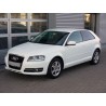 Scarico sportivo marmitta Audi A3 8P Sportback / Seat Leon 1P 2x76mm