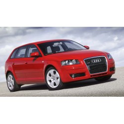 Scarico sportivo Novus 135x75mm BORDO SOTTILE OVALE per Audi A3 VW Golf 5 E 6 Scirocco III