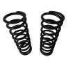 Molle da carico fiat stilo Sw +110kg sovraccarico