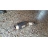 Catalizzatore Audi A4, Passat Golf III 1.9 tdi dal 1999