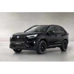 catalizzatore ricambio TOYOTA RAV III 2.2 D dal 2006 al 2009