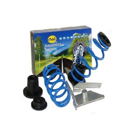 MOLLE CARICO POSTERIORI FIAT DOBLO MODELLO 223