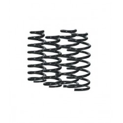 MOLLE CARICO RIALZO POSTERIORI FIAT MULTIPLA MOD 186 PIU 25MM