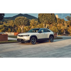 MOLLE CARICO rinforzo POSTERIORI MAZDA CX30 -MX-30