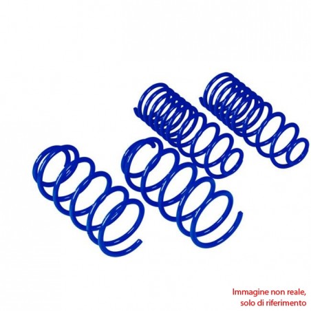kit molle assetto renault megane II cabriolet 1900 dci dal 2003 al 2010