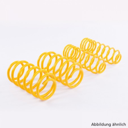kit molle assetto abbassamento 30mm ford focus II 1600 tdci 80kw