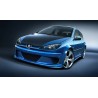 scarico posteriore sportivo marmitta peugeot 206 2*76mm