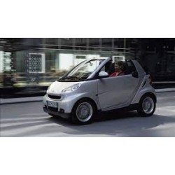 Marmitta finale posteriore mercedes Smart 800 diesel Euro 4 con fap