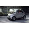 Marmitta finale posteriore mercedes Smart 800 diesel Euro 4 con fap FTS