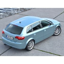 scarico sportivo marmitta AUDI A3 Sportback/ SEAT LEON (Mot 1P1) 1.6 FSI