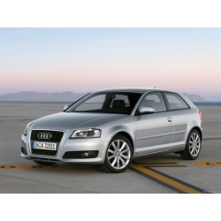 Scarico sportivo Novus 2.0TSI per VW Scirocco III / A3 8P TSI GTI