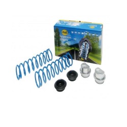 MOLLE CARICO POSTERIORI rinforzate CHEVROLET TRANS SPORT