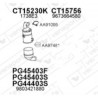 catalizzatore citroen peugeot AS FD5121 CT15230K PG 45403S