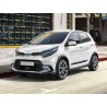 MOLLE CARICO POSTERIORI RINFORZATE HYUNDAI I10 KIA PICANTO TA