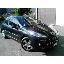 MARMITTA SCARICO SPORTIVO PEUGEOT 207 HDI POSTERIORE ovale 120 * 80mm
