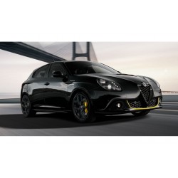 MOLLA CARICO POSTERIORE RINFORZATE ALFA GIULIETTA MODELLO 940