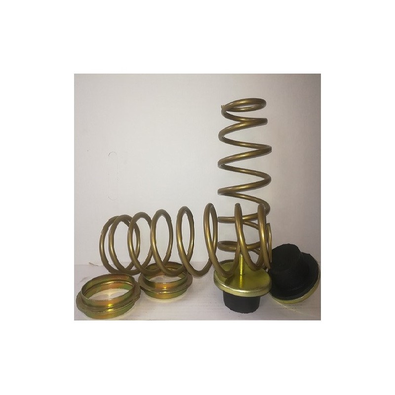 MOLLE CARICO rinforzate POSTERIORI FIAT 500X JEEP RENEGADE