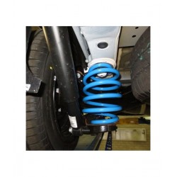 MOLLE RINFORZATE POSTERIORI FIAT PANDA MODELLO 169 FIAT 500 C