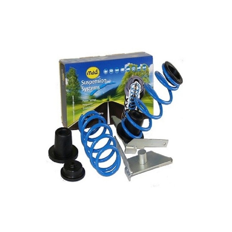 MOLLE CARICO RINFORZATE POSTERIORI HYUNDAI H300 H1