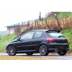 molle da carico posteriori kit 160kg peugeot 206 versione 3 porte
