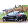 molle da carico posteriori kit 160kg peugeot 206 versione 3 porte