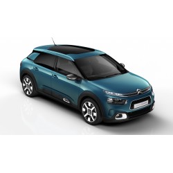 MOLLE CARICO POSTERIORI CITROEN C4 CACTUS tipo 0 dal 2014