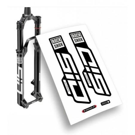 adesivi per forcella modello rochshox sid 2023 2024