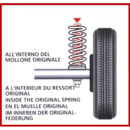 Molle Carico Posteriori Fiat Panda II 141- Lancia Y10 - Seat Terra dca