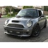 Scarico sportivo marmitta posteriore Mini Cooper One Cabrio R50 R52 R53 1x90mm RL design