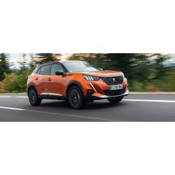 downpipe peugeot 3008 1.2i Puretech 130Hp dal 2019