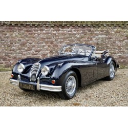 scarico acciaio sportivo jaguar xk140 1954 1957 CENTRALE E FINALE
