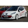 marmitta posteriore sportiva peugeot 207 2 uscite da 76mm